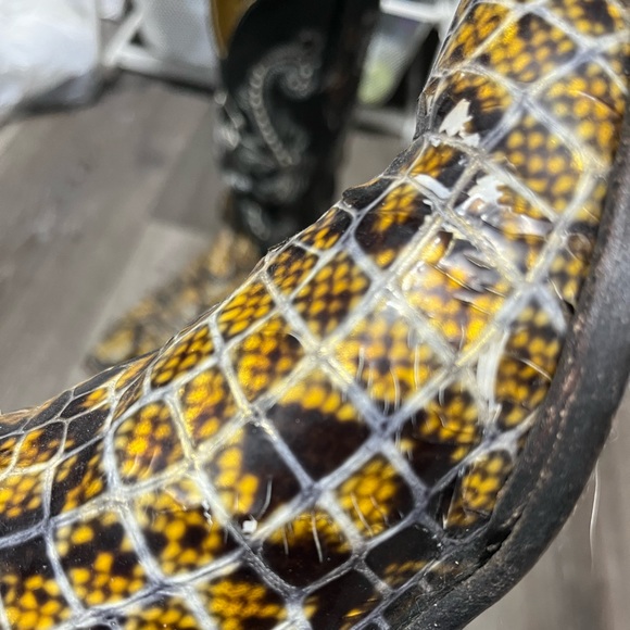 Ferrini cowboy boots - Picture 3 of 7